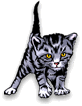 Techkat Web Services